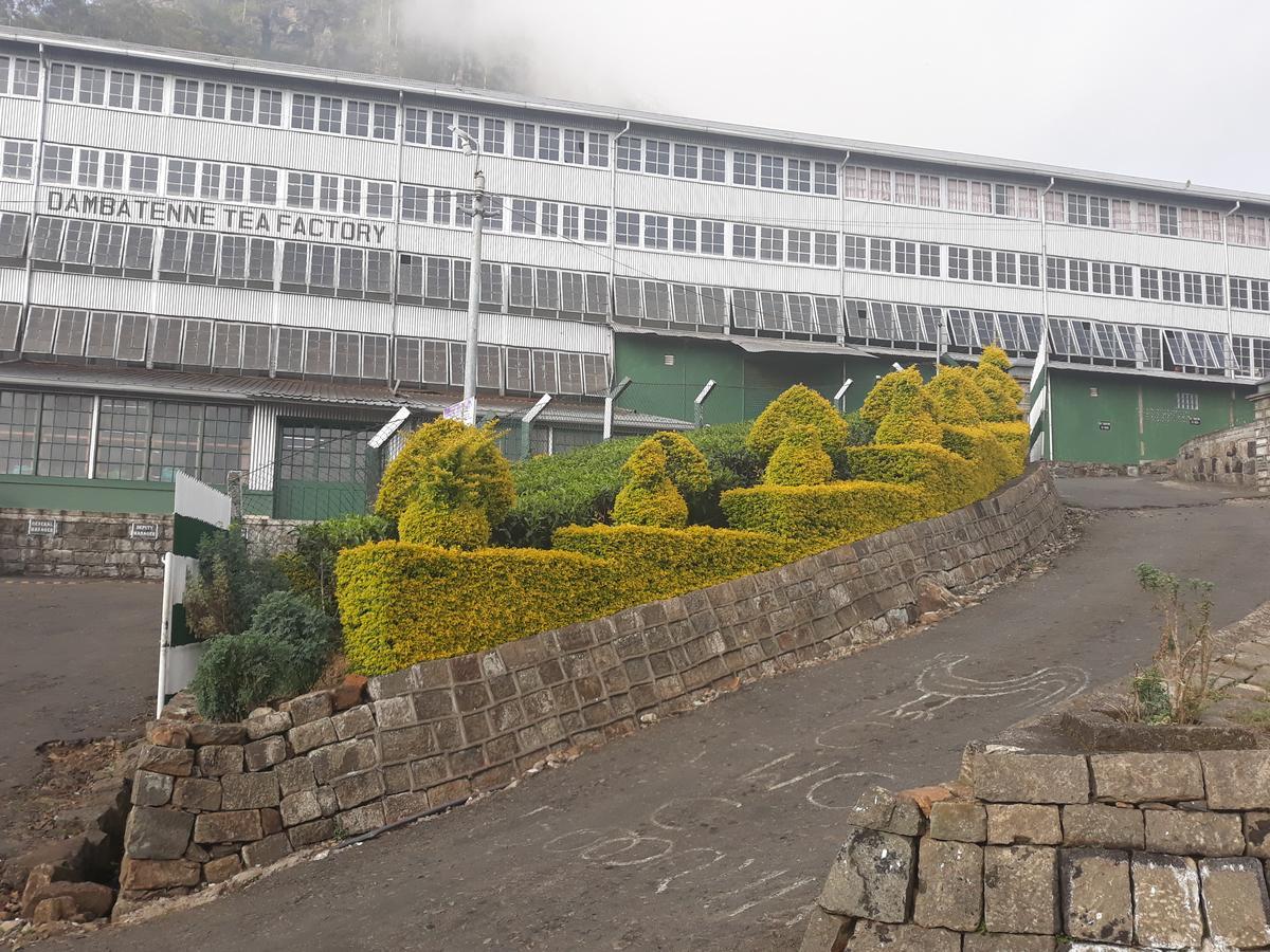 Lilly Guest Inn Haputale Buitenkant foto